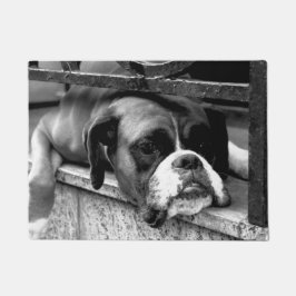 Paillasson Chien de boxe sur dmcna Windows