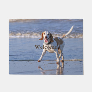 Paillasson Chien de race de beagle