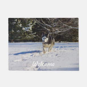 Paillasson Chien de traîneau sibérien dans la neige