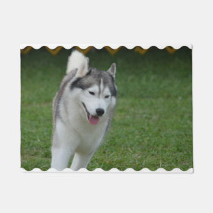 Paillasson Chien de traîneau sibérien mignon