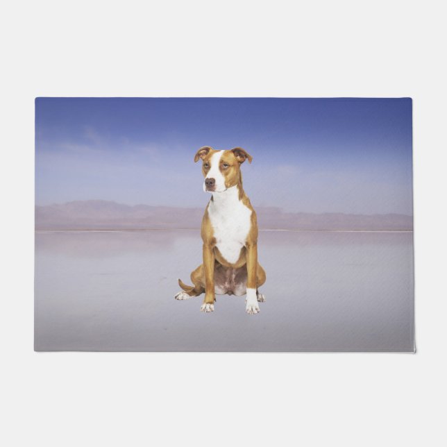 Paillasson Chien Pitbull Assis Sur La Plage (Devant)
