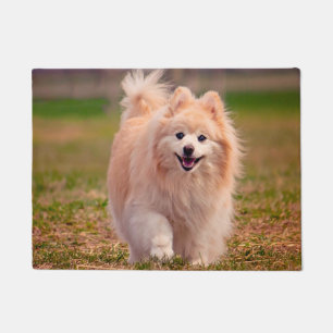 Paillasson Chien Poméranien.