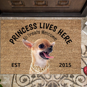 Paillasson Chihuahua en colère mat Amoureux des chiens person