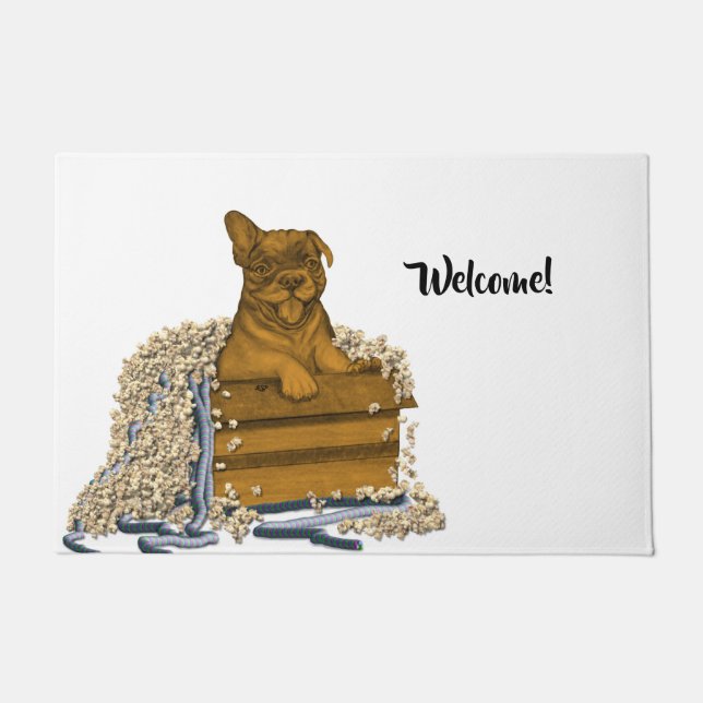 Paillasson Chiot dans une boîte (Devant)