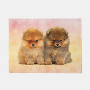 Paillasson Chiots allemands mignons de Spitz de Pomeranian
