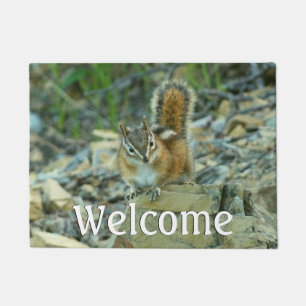 Paillasson Chipmunk dans le parc national des Glaciers