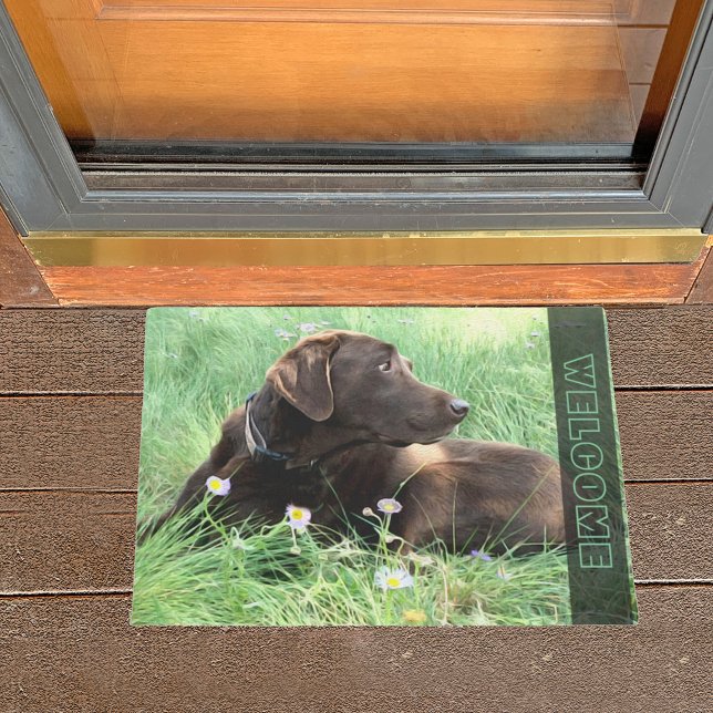 Paillasson Chocolat Labrador Retriever Dog In Grass Flowers (Créateur téléchargé)