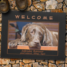 Chocolat sucré Labrador Retriever Modèle photo