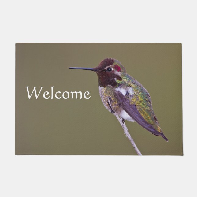 Paillasson Colibri reposant (Devant)