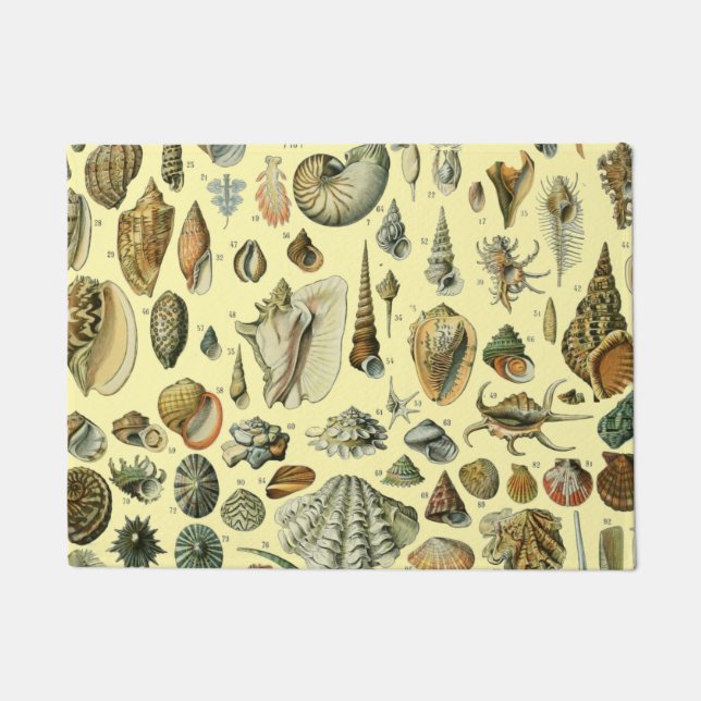 Paillasson Coquillages de coquillages Mollusk Clam Élégant Ar (Devant)