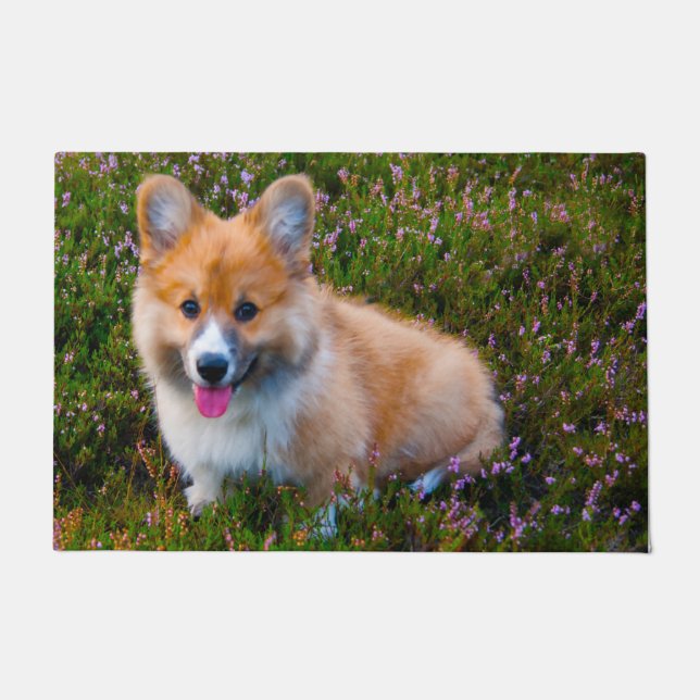 Paillasson Corgi gallois. (Devant)