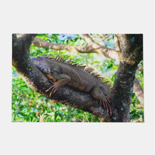 Paillasson Costa Rica, Muelle - Lazy Iguana reposant dans un 