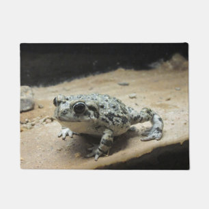 Paillasson Crapaud