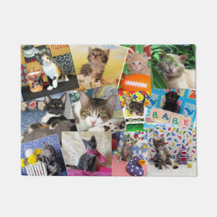 Paillasson Crazy Cat Lady Doormat (18 X 24)