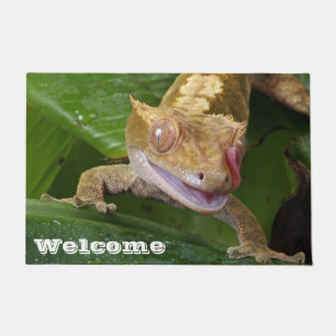 Paillasson Crested Gecko