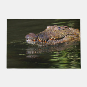 Paillasson Crocodile