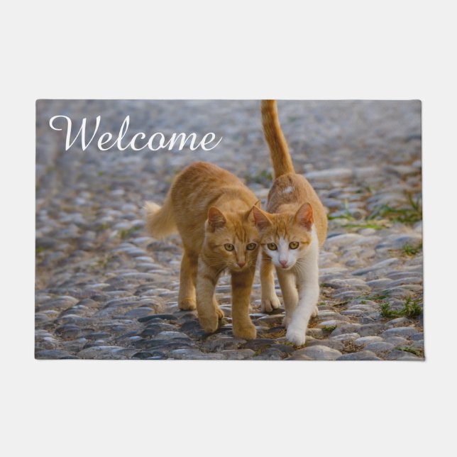 Paillasson Cute Chat Kittens Amis Chemin de pierre Photo Bien (Devant)