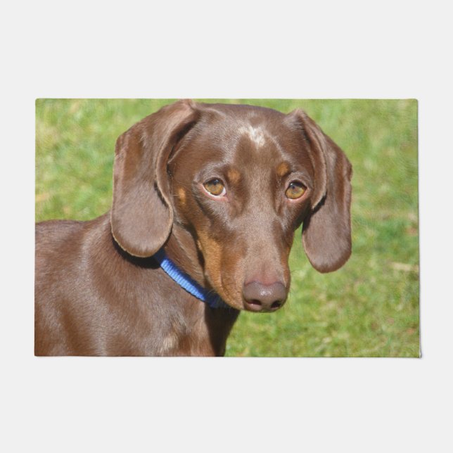 Paillasson Dachshund (Devant)
