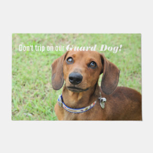 Paillasson Dachshund
