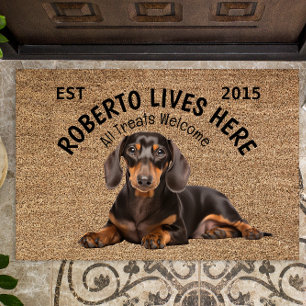 Paillasson Dachshund Amoureux des chiens personnalisé mat