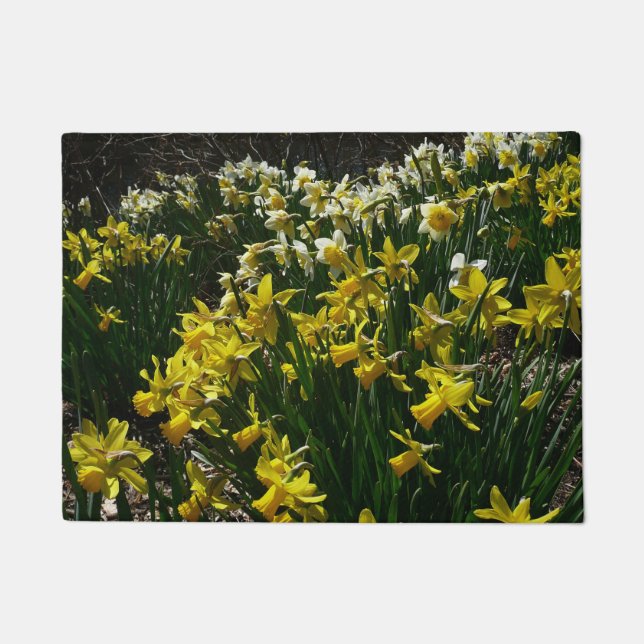 Paillasson Daffodiles jaunes et blancs Fleurs de printemps (Devant)