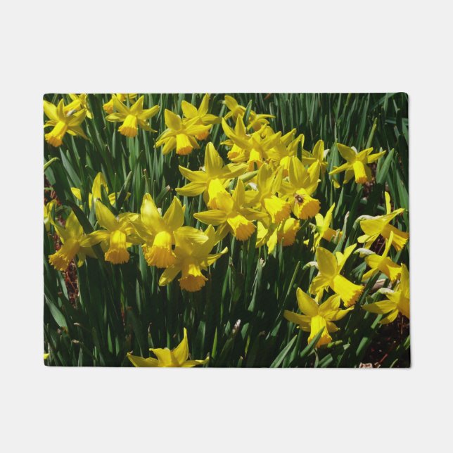 Paillasson Daffodiles Jaunes I Fleurs De Printemps Cheveux (Devant)