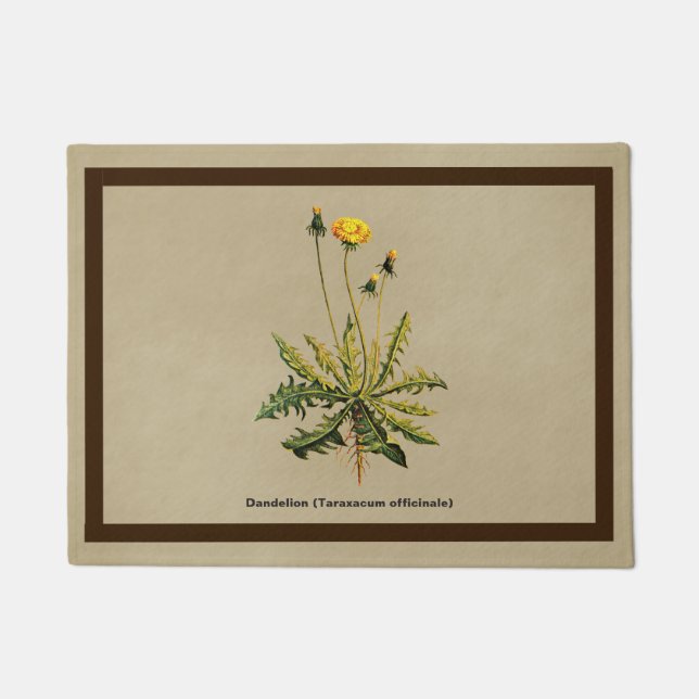 Paillasson Dandelion Sur Vieux Papier (Devant)