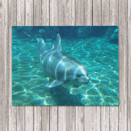 Paillasson Dauphin de natation