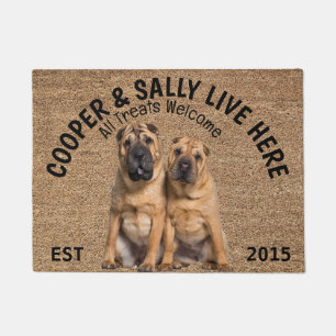 Paillasson Deux Amoureux des chiens personnalisé Shar Pei
