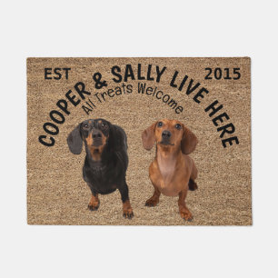 Paillasson Deux Dachshunds Amoureux des chiens personnalisé