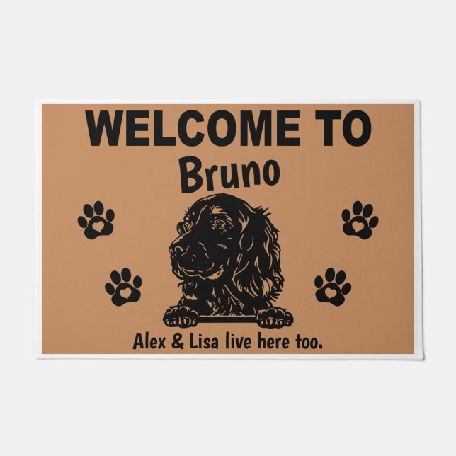 Paillasson Door Mat (Devant)
