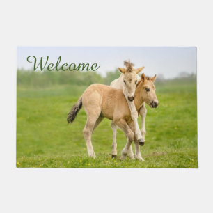 Paillasson Drôle Cheval Konik Sauvage Foals Jouer - Bienvenue
