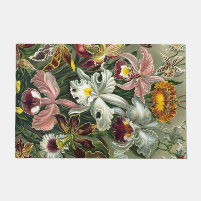 Paillasson Ernst Haeckel Art Imprimer : Orchidae Oncidiums, t (Devant)
