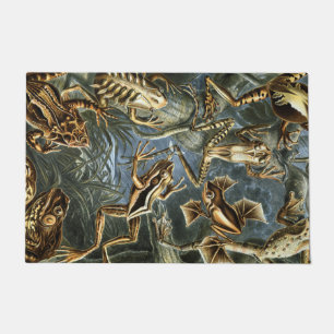 Paillasson Ernst Haeckel variété de grenouilles exotiques : B
