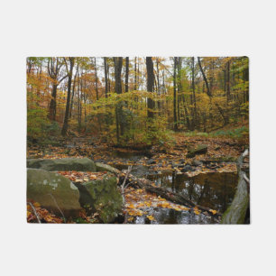 Paillasson Fall Creek avec réflexion à Laurel Hill Park