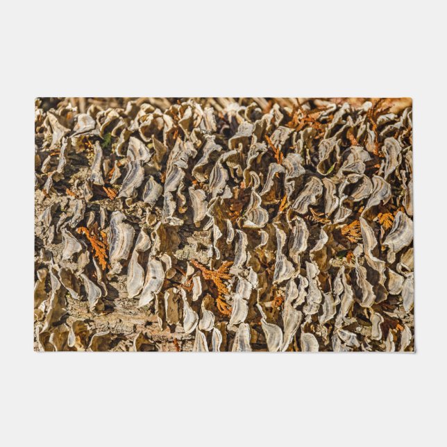 Paillasson Fascination avec les champignons (Devant)