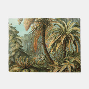Paillasson Ferns Palm Tree Antiquité Botanique Ferns Art