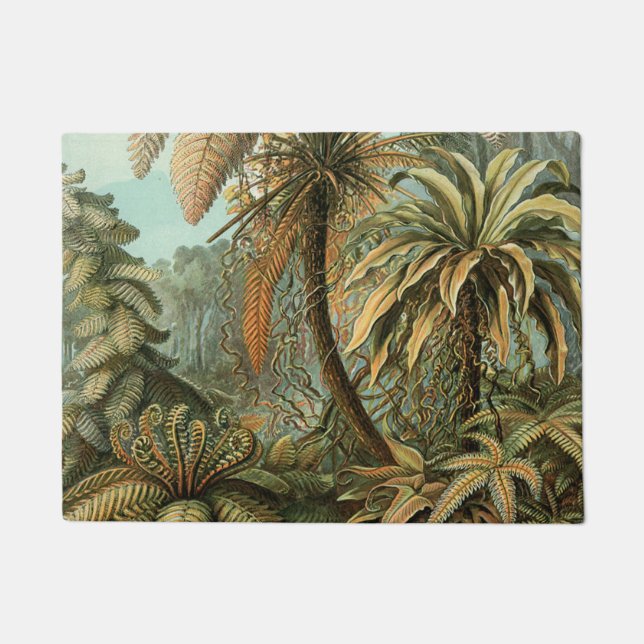 Paillasson Ferns Palm Tree Antiquité Botanique Ferns Art (Devant)
