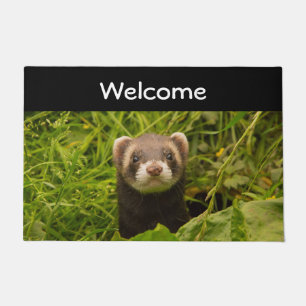 Paillasson Ferret Brown mignon dans l'herbe photo