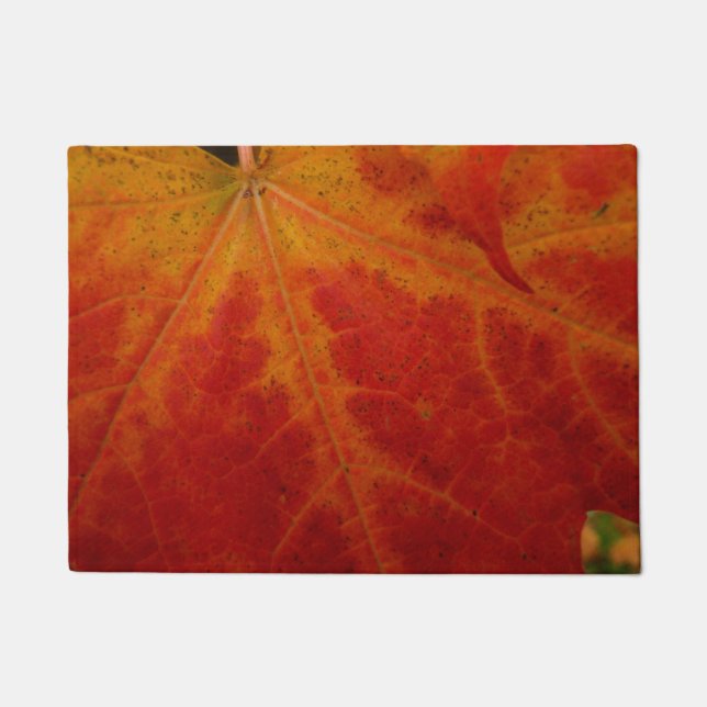 Paillasson Feuille d'érable rouge Abstraite Automne Photograp (Devant)