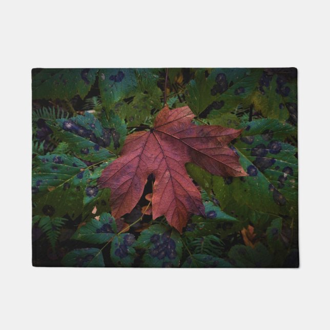 Paillasson Feuille rouge (Devant)