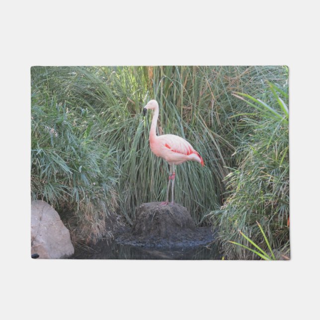 Paillasson Flamant rose (Devant)