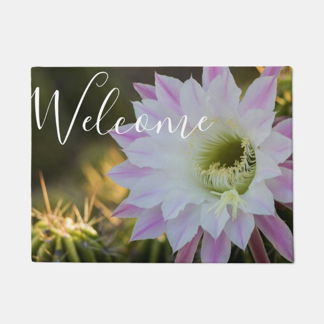 Paillasson Fleur de cactus violet et blanc (Devant)