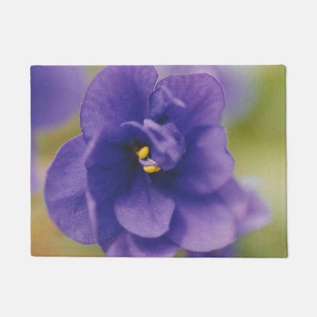Paillasson Fleur de fleurs bleues de Violet Saintpaulia Zoomé (Devant)