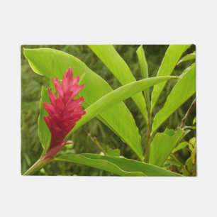 Paillasson Fleur de gingembre rouge (Alpinia) tropicale