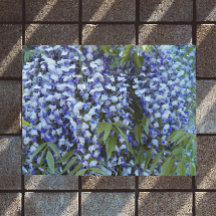 Fleur de glycine à pendage pourpre