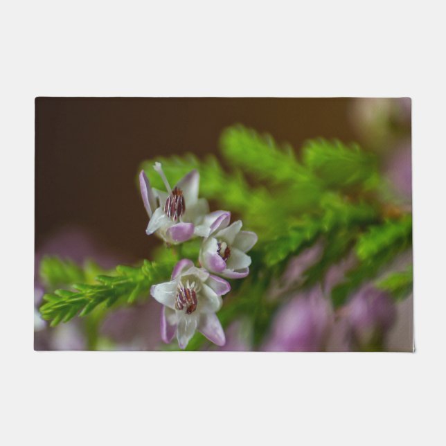 Paillasson Fleur de printemps de Heather à feuillage persista (Devant)