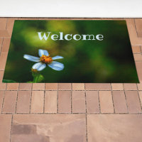 Fleur marguerite Photographie Florale Vert Bienven