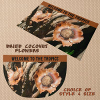 Fleurs de Coco Séchées Tropicales Accueil Rustique