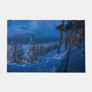 Paillasson Forest path at winter night